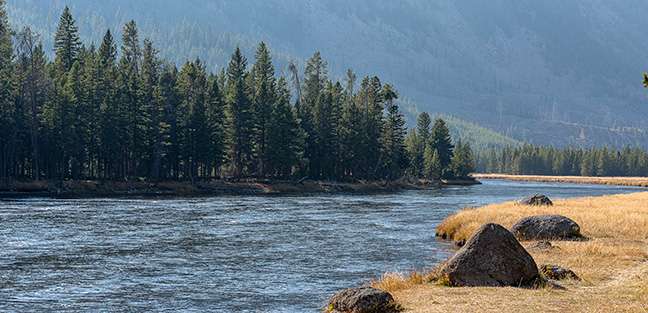 Yellowstone National Park