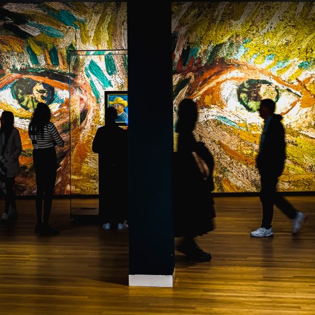 The eyes of Van Gogh