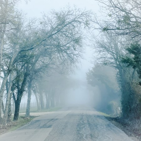 The road to Erwin park