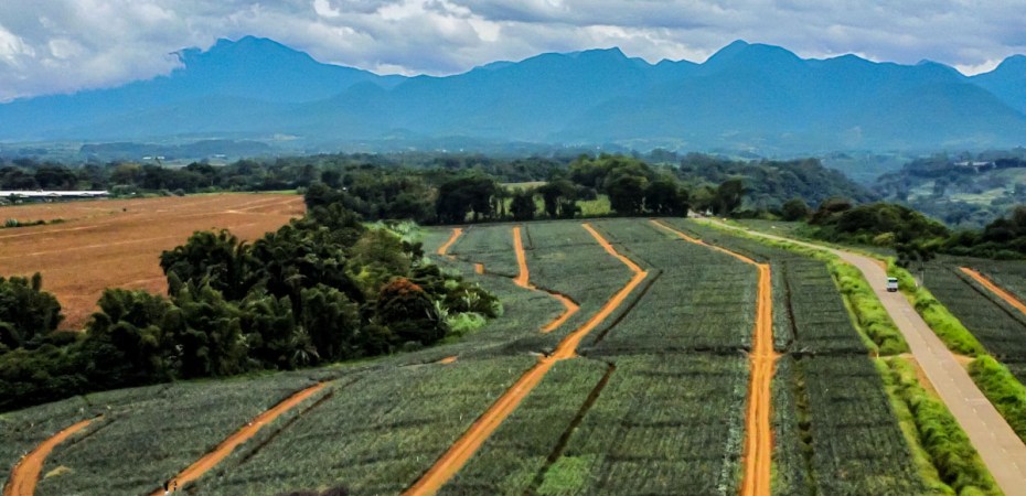 mindanao-road-trip-to-dahilayan