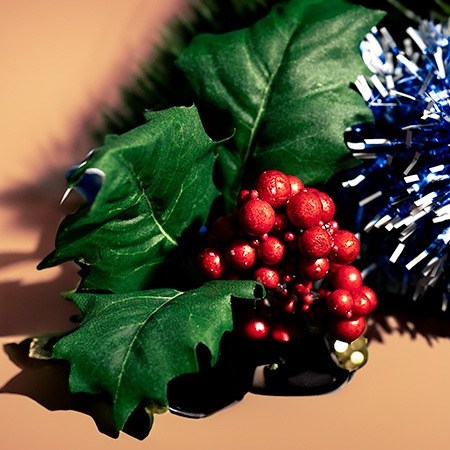 Holly