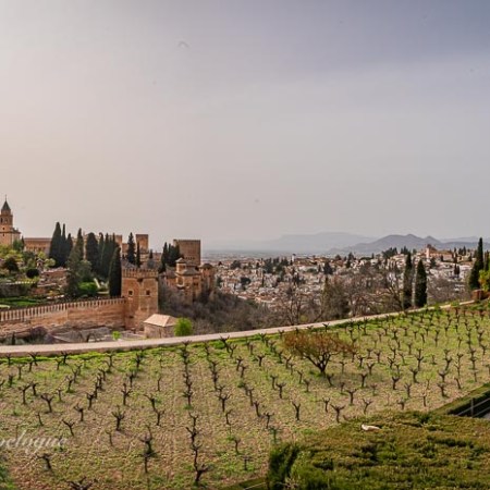 Alhambra and Granada from Generalife