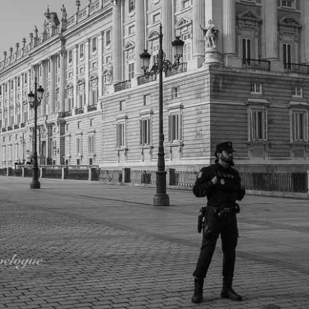 Guarding Palacio Real