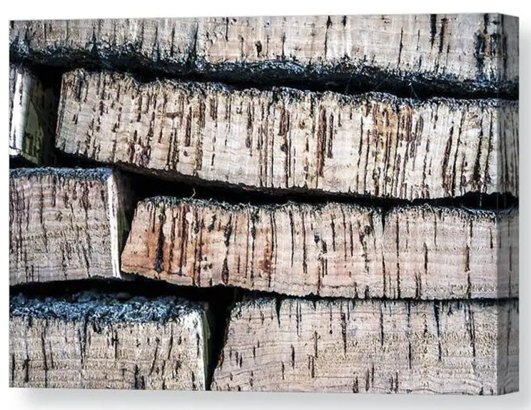An image of a canvas print of a macro photograph of a stack of cork barks